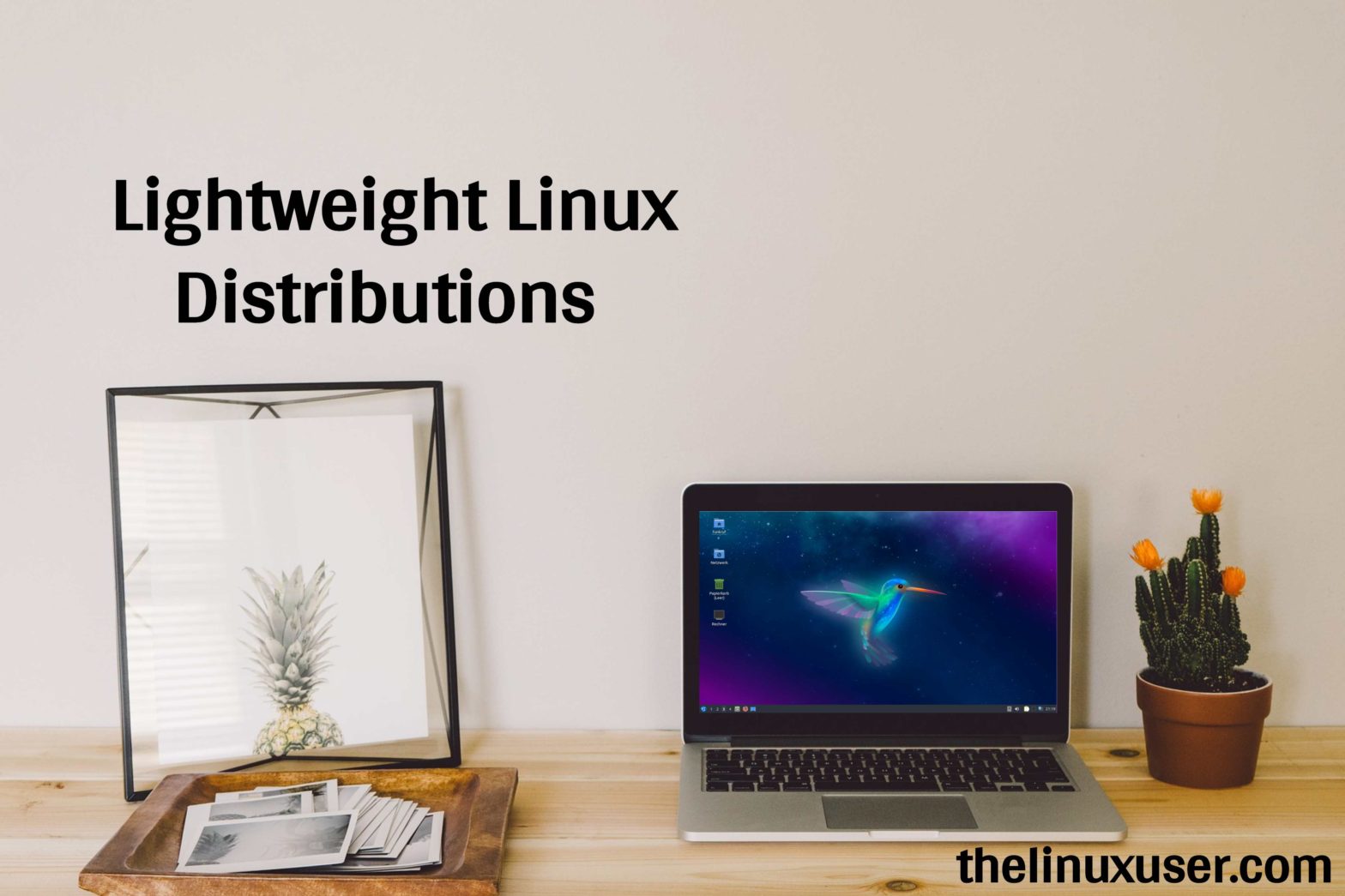 Lightweight Linux distribution